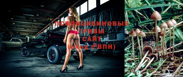 гидра Лиски