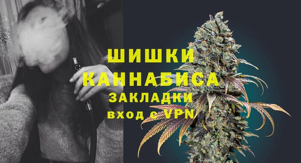 МДПВ Липки