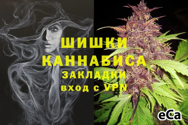 МДПВ Липки