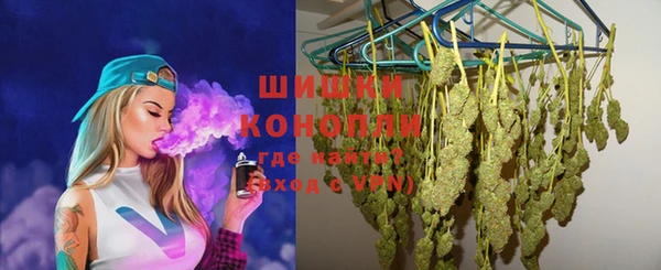МДПВ Липки