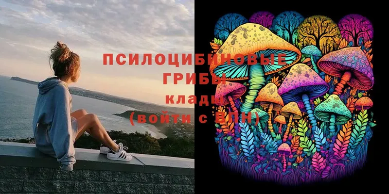 Псилоцибиновые грибы Magic Shrooms  цены   Шлиссельбург 