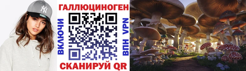 Псилоцибиновые грибы Psilocybe Шлиссельбург
